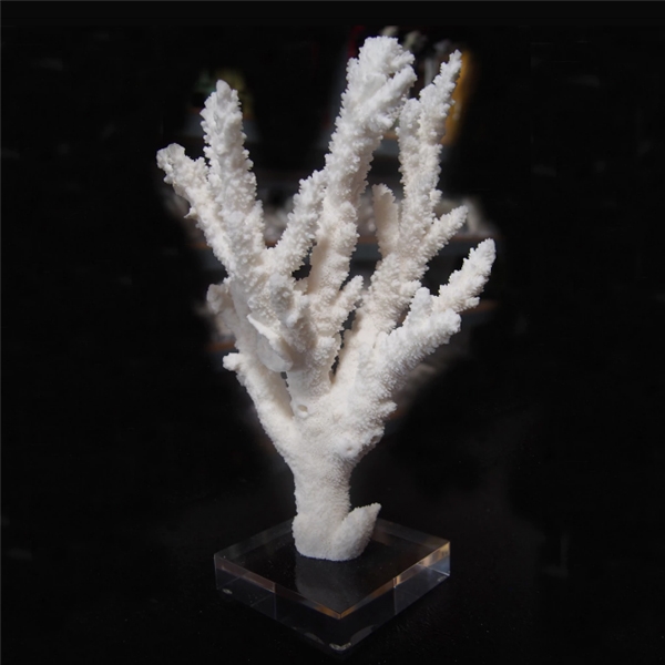 Artificial Tree Branch,Coral Branches, Sea Fan Coral .White Coral Wedding  Decorations,Home Artificial Peacock,Plastic Dried Branch; 45Cm From  Mhongxullc, $10.49